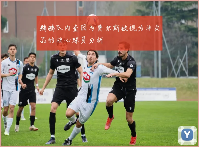 鹈鹕队内奎因与费尔斯被视为非卖品的核心球员分析