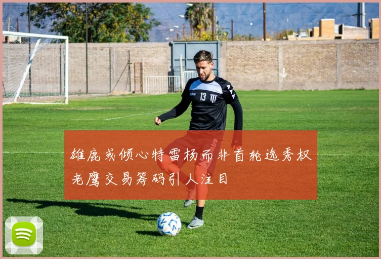雄鹿或倾心特雷杨而非首轮选秀权老鹰交易筹码引人注目