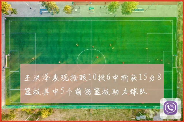 王洪泽表现抢眼10投6中斩获15分8篮板其中5个前场篮板助力球队