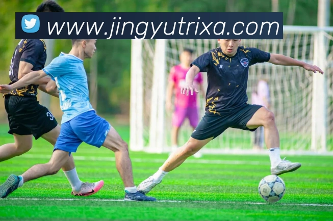 App Interface Preview