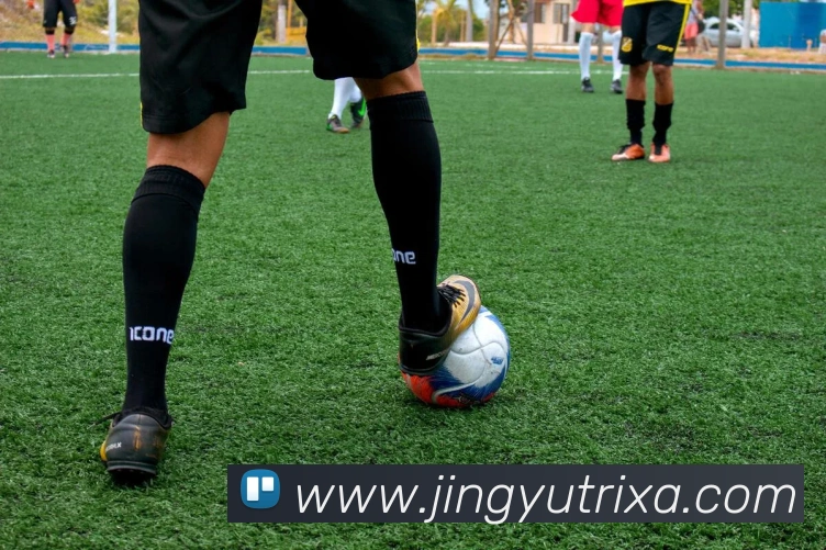 鲸鱼体育APP 封面图